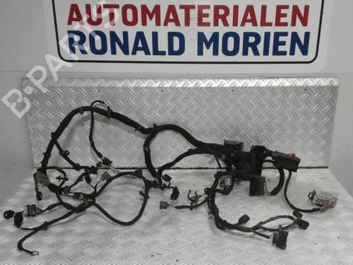 Used Wiring harness Wiring harness LAND ROVER RANGE ROVER SPORT I (L320) 3.0 D 4x4 (245 hp) 40386860 40386860