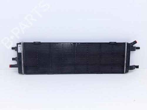 Used Water radiator Water radiator RENAULT AUSTRAL E-TECH 200 Hybrid (HGM2) (199 hp) 40424203 40424203