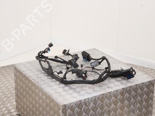 Wiring harness OPEL ADAM (M13) 1.2 | BP40404125E16 - Image 2