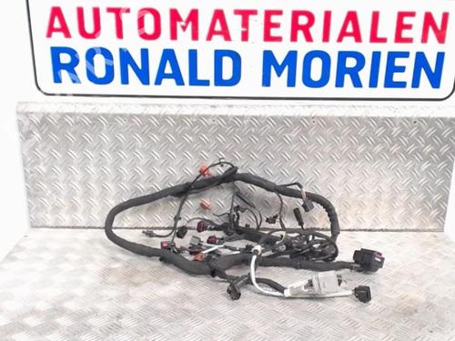 wiring-harness-skoda-rapid-spaceback-nh1-2012-2013-2014-2015-2016-2017-2018-2019-40473339 main image