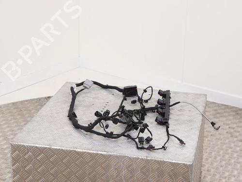 Wiring harness VW BEETLE (5C1, 5C2) 1.2 TSI | BP40403912E16 - Image 4