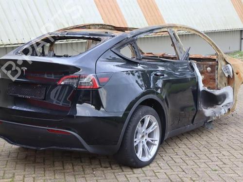 - Image 7