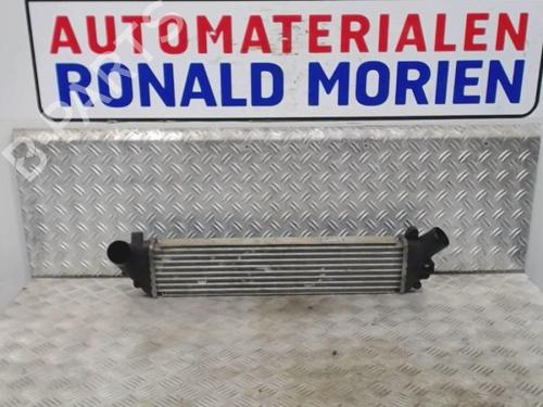Used Intercooler Intercooler RENAULT KANGOO Express (FC0/1_) 1.5 dCi (FC1G) (84 hp) 40470590 40470590