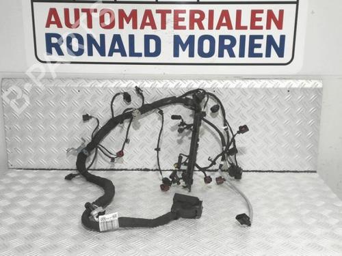 Used Wiring harness Wiring harness VW PASSAT B8 Variant (3G5, CB5) 1.6 TDI (120 hp) 40386664 40386664