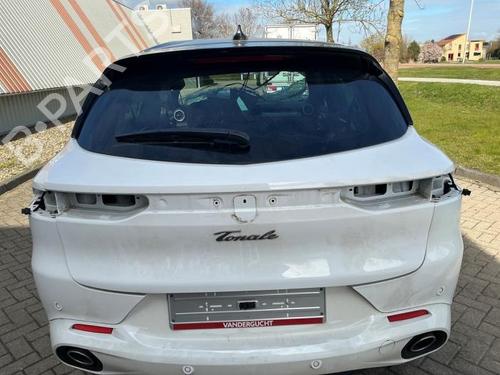 Used Tailgate Tailgate ALFA ROMEO TONALE (965_) 1.3 Hybrid Q4 (280 hp) 40425875 40425875