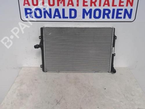 Used Water radiator Water radiator VW PASSAT B7 (362) 2.0 TDI (140 hp) 40368637 40368637