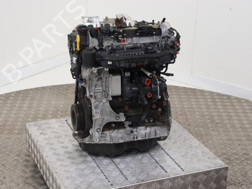 Used Engine Engine VW GOLF VIII (CD1, DA1) 2.0 GTI Clubsport (300 hp) 40421242 40421242