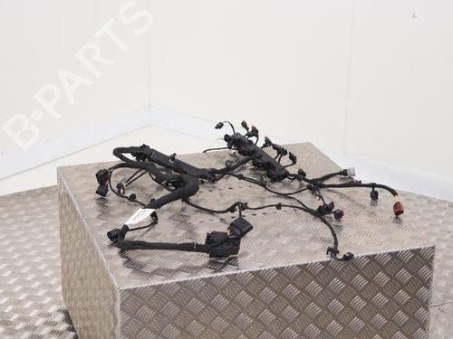 Wiring harness AUDI Q5 (FYB, FYG) 2.0 TFSI quattro | BP40394429E16 - Image 3