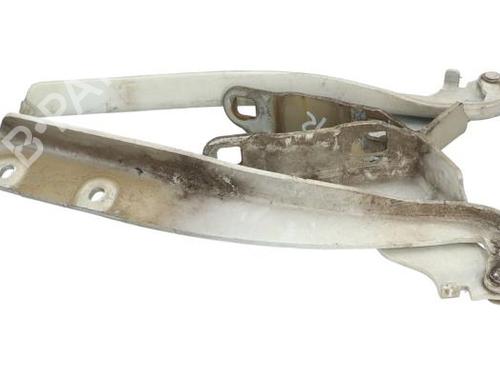 hingedoor-check-strap-fiat-punto-evo-199_-2008-40392982 main image