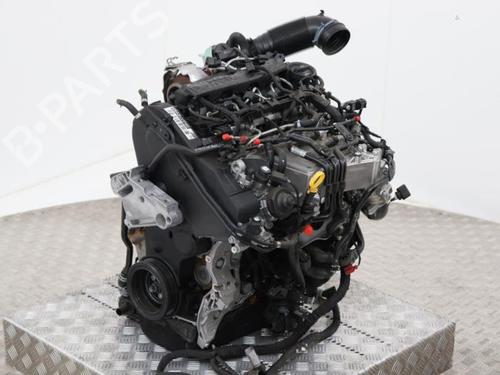 Used Engine Engine VW SHARAN (7N1, 7N2) 2.0 TDI (115 hp) 40372861 40372861
