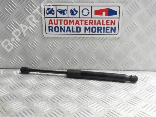 Used Tailgate lift support Tailgate lift support TESLA MODEL 3 (5YJ3) EV AWD (351 hp) 40432572 40432572