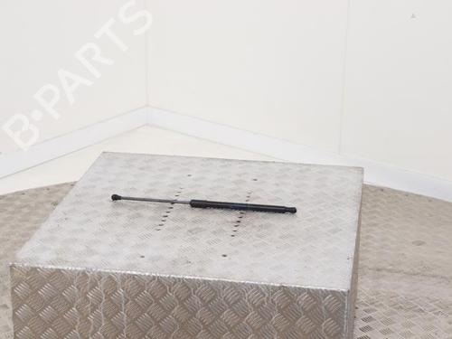 Used Tailgate lift support Tailgate lift support RENAULT CLIO V (B7_) 1.0 TCe 90 (B7MT) (91 hp) 40400105 40400105