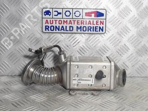 Used Egr Egr FIAT 500L (351_, 352_) 1.6 D Multijet (199LYE1B) (120 hp) 40373817 40373817