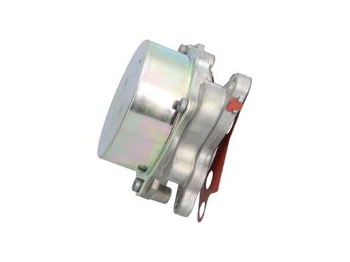Vacuum pump RENAULT TRAFIC III Bus (JG_) 2.0 dCi 170 (JGMM, JGMV) | BP40391660M80 - Image 1