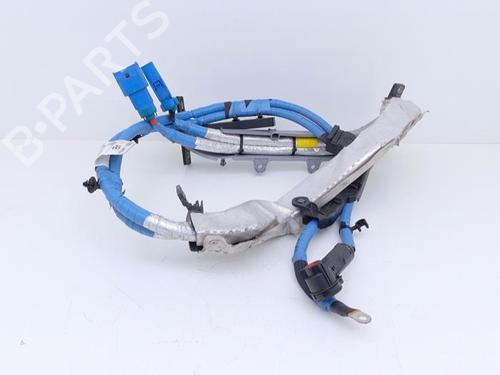 Used Wiring harness Wiring harness JAGUAR E-PACE (X540) 2.0 D165 MHEV AWD (163 hp) 40480333 40480333