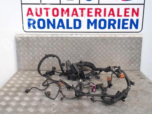 Used Wiring harness Wiring harness OPEL INSIGNIA A Saloon (G09) 2.0 CDTI (69) (160 hp) 40473335 40473335