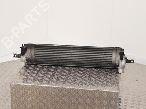 Used Intercooler Intercooler RENAULT KOLEOS I (HY_) 2.0 dCi (HY0K) (150 hp) 40474545 40474545