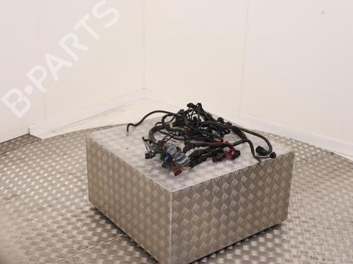 wiring-harness-audi-a4-b7-convertible-8he-2002-2003-2004-2005-2006-2007-2008-2009-2010-40409873 main image