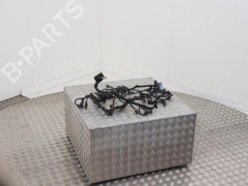 Used Wiring harness Wiring harness PEUGEOT 308 II (LB_, LP_, LW_, LH_, L3_) 1.6 BlueHDi 120 (120 hp) 40478549 40478549