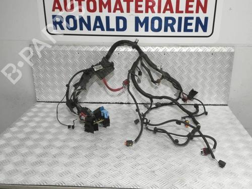 wiring-harness-dacia-sandero-ii-2012-40386790 main image