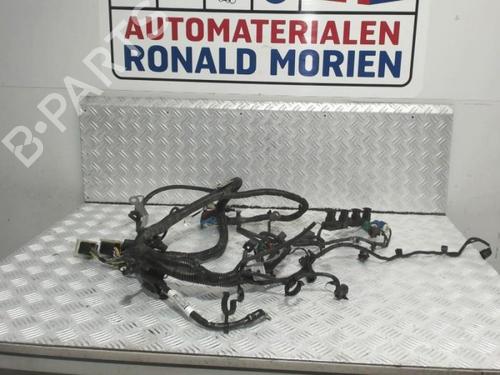 wiring-harness-ford-c-max-ii-dxacb7-dxaceu-2010-2011-2012-2013-2014-2015-2016-2017-2018-2019-40386829 main image