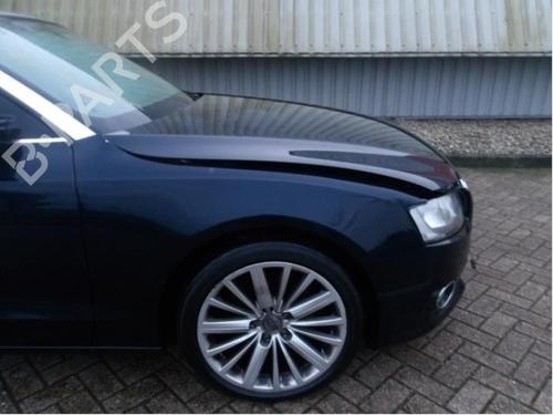 Right front shock absorber AUDI A5 Convertible (8F7) 2.0 TDI | BP40364920M17 - Image 16