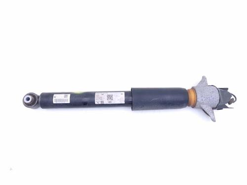 Used Left rear shock absorber Left rear shock absorber AUDI Q8 (4MN, 4MT) RS FSI Mild Hybrid quattro (600 hp) 40420914 40420914