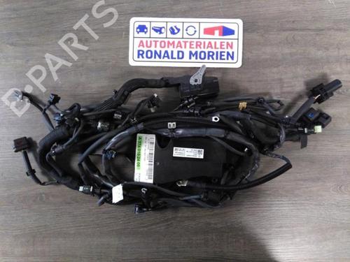Used Wiring harness Wiring harness MERCEDES-BENZ C-CLASS Convertible (A205) C 180 (205.440) (156 hp) 40386831 40386831