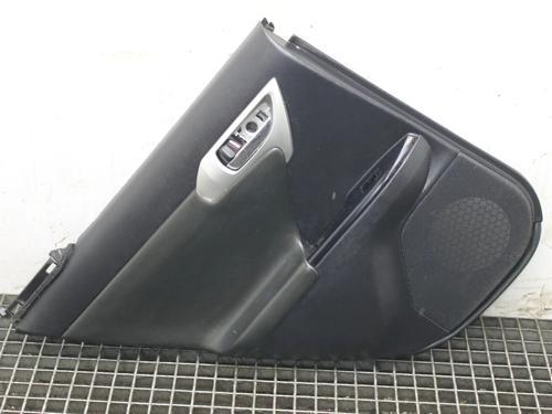 Pannello porta posteriore sinistro Pannello porta posteriore sinistro LEXUS CT (ZWA10_) 200h (ZWA10_, ZWA10R) (136 hp) 39879045 39879045