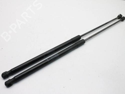 Used Tailgate lift support Tailgate lift support LAND ROVER RANGE ROVER EVOQUE (L538) 2.2 D 4x4 (190 hp) 39795605 39795605