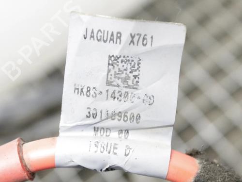 Cable JAGUAR F-PACE (X761) 2.0 TD4 AWD | BP39790541E12 - Image 9