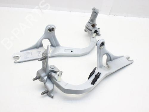 hingedoor-check-strap-bmw-3-gran-turismo-f34-2012-39833630 main image