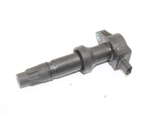Used Ignition coil Ignition coil FORD KUGA III (DFK) 2.5 Duratec Plug-in-Hybrid (224 hp) 39829414 39829414