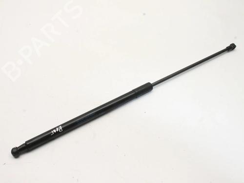 tailgate-lift-support-peugeot-rcz-2010-2011-2012-2013-2014-2015-39769773 main image