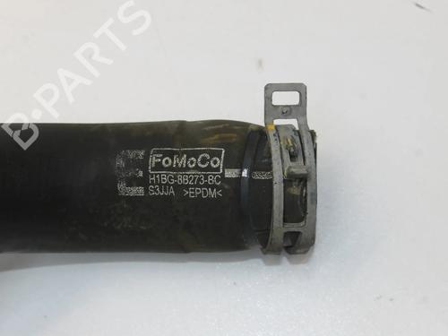 Pipe FORD FIESTA VII (HJ, HF) 1.0 EcoBoost | BP39859159M125 - Image 5