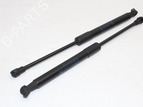 hood-lift-support-bmw-x1-e84-2009-2010-2011-2012-2013-2014-2015-39838699 main image