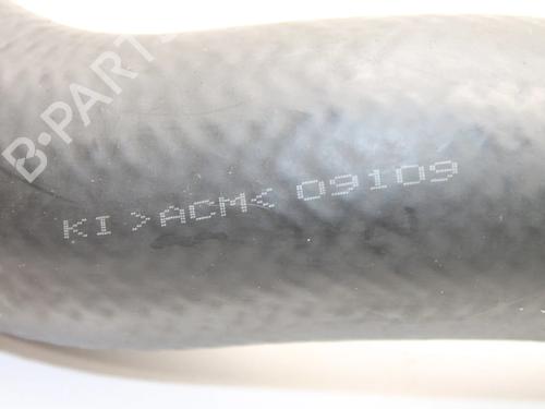 Intercooler pipe HONDA ACCORD VIII (CU) 2.2 i-DTEC (CU3) | BP39787556M127 - Image 5