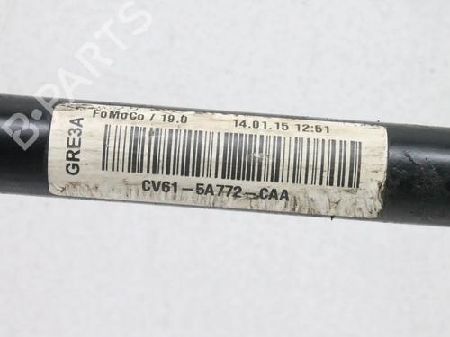 Anti roll bar FORD KUGA II (DM2) 1.5 EcoBoost 4x4 | BP39770421M96 - Image 4