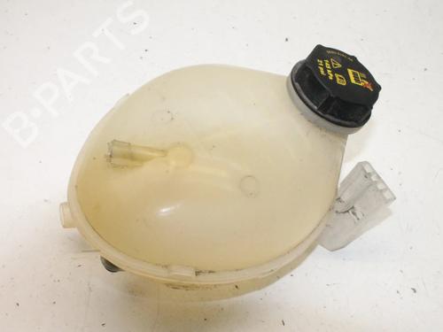 expansion-tank-ford-ecosport-2011-2012-2013-2014-2015-2016-2017-2018-2019-2020-2021-2022-39770313 main image