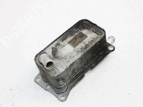 Used Oil radiator Oil radiator MERCEDES-BENZ A-CLASS (W177) AMG A 35 4-matic (177.051) (306 hp) 39821100 39821100