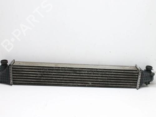 Used Intercooler Intercooler HONDA CIVIC X Hatchback (FC_, FK_) 1.0 VTEC (FK6) (129 hp) 39879511 39879511