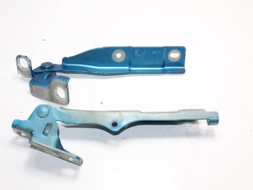 hingedoor-check-strap-citroen-ds3-sa_-2009-2010-2011-2012-2013-2014-2015-2016-39845088 main image