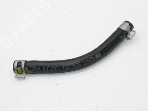Used Pipe Pipe KIA SPORTAGE V (NQ5) 1.6 T-GDI (180 hp) 39864715 39864715