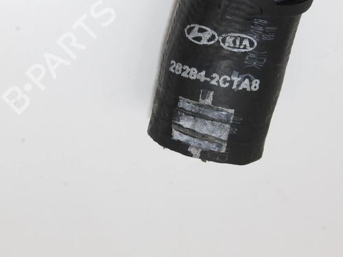 Rør KIA STINGER (CK) 2.0 T-GDi | BP39823337M125 - Image 3
