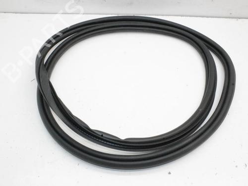 rubber-door-seal-polestar-polestar-2-534-2019-39769704 main image