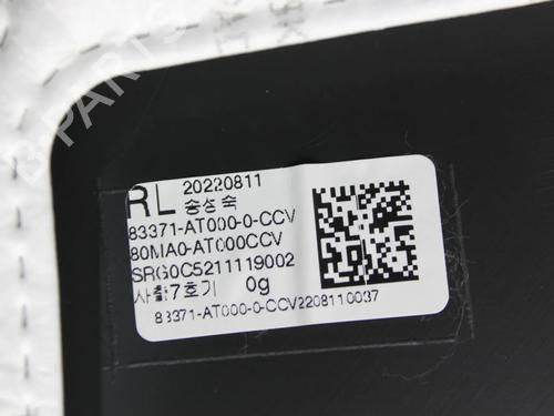 Rear left panel KIA NIRO I (DE) 1.6 GDI Plug-in Hybrid | BP39857343C60 - Image 12