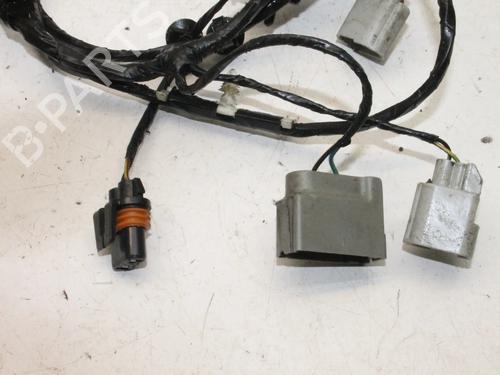 Wiring harness FORD KUGA II (DM2) 2.0 TDCi 4x4 | BP39788438E16 - Image 4