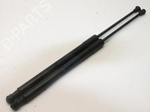 tailgate-lift-support-bmw-1-f20-2011-2012-2013-2014-2015-2016-2017-2018-2019-39791907 main image