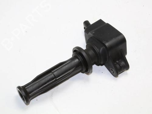 Bobine Bobine FORD S-MAX (WA6) 2.0 EcoBoost (203 hp) 39855456 39855456