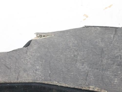 Boot lining JAGUAR XJ (X350, X358) 4.2 | BP39840465I3 - Image 8